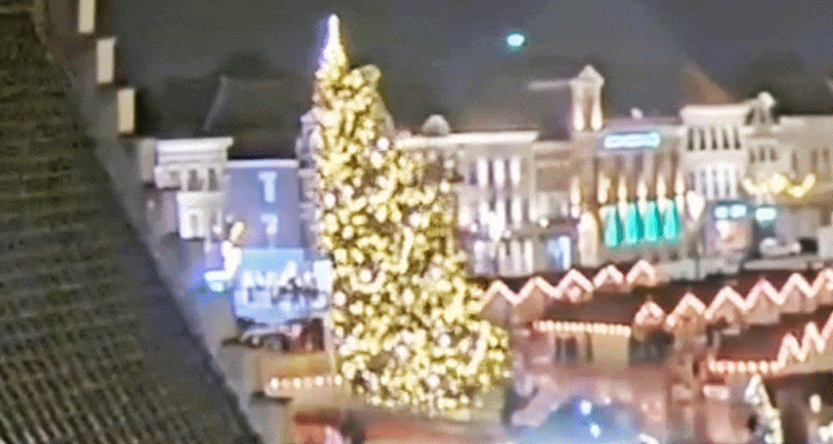 Woman Killed by Christmas Tree: Falling Christmas Tree Took Elderly person’s Life